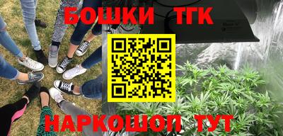 ПСИЛОЦИБИНОВЫЕ ГРИБЫ Кулебаки