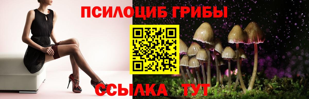 Кемерово  Псилоцибиновые грибы Cubensis  Вход с VPN  Галлюциногенные грибы Psilocybine cubensis 